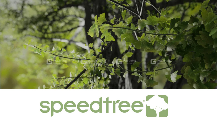 SoftLogoSpeedtree.jpg