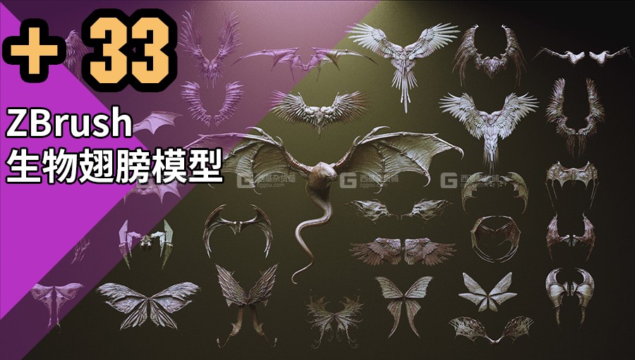 ZBrush生物翅膀模型预设 33 Character & Creature Wings_003.jpg