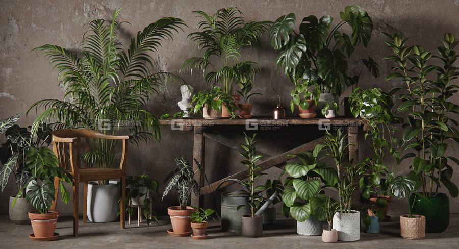 绿植盆栽室内植物3D模型 3DCollective – Interior Plants Pack 01_001.jpg