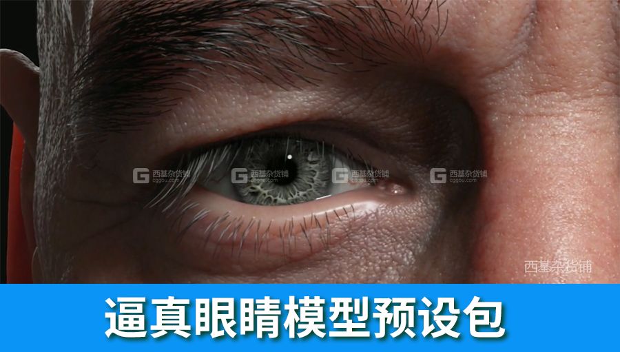 逼真眼睛模型预设包 FlippedNormals – Eye Kit - CG资源网_01.jpg