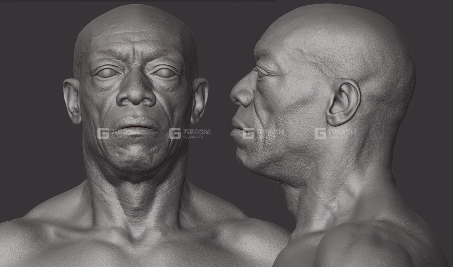 20 x Animation Ready Body Scan Pack_12.avif