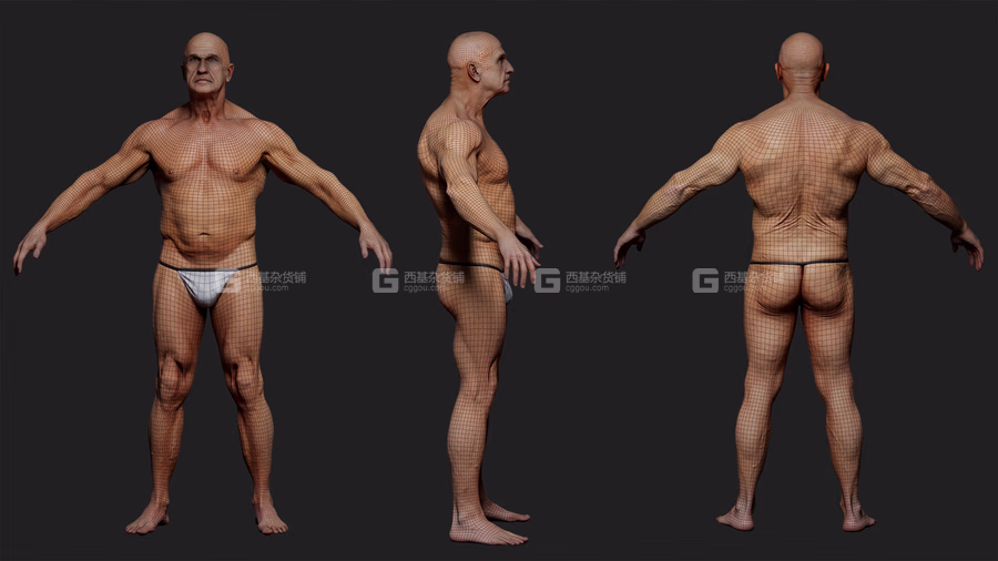 20 x Animation Ready Body Scan Pack_11.avif