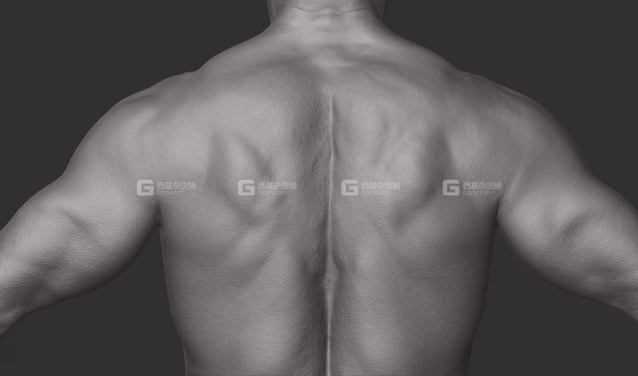 20 x Animation Ready Body Scan Pack_13.avif