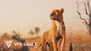 Blender狮子绑定3D模型 VFXGrace – Female Lion RiggedFM.jpg