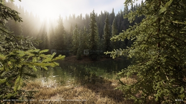 树Nanite Nanite Trees Vol.1FM.jpg